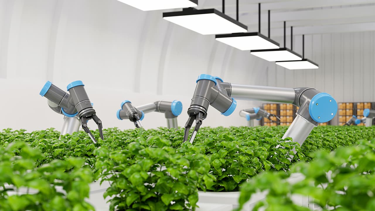 Agriculture robots gather more than just crops — they harvest data